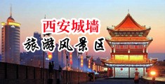 黑人大屌性爱中国陕西-西安城墙旅游风景区